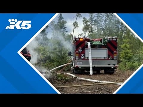 Above-normal wildfire risk anticipated this summer in Washington