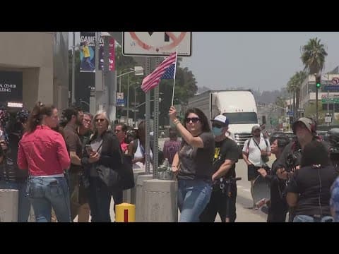 Protests over immigration raids continue