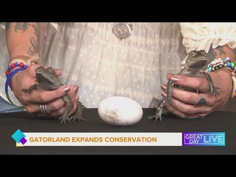 Gatorland