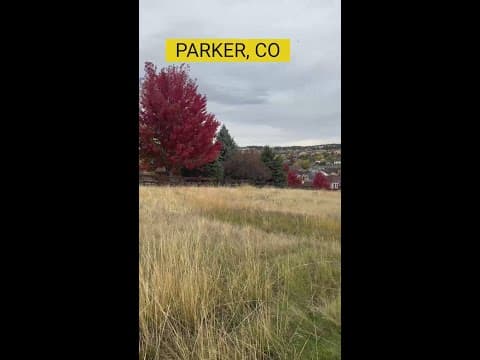 Fall in Parker, Colorado: Black Bear Golf Club with deer