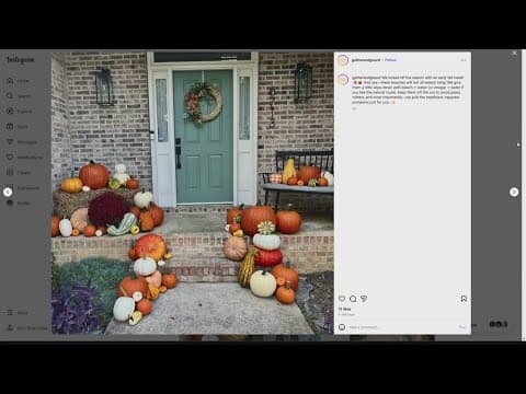 Local entrepreneur creates porch decorating business to celebrate autumn