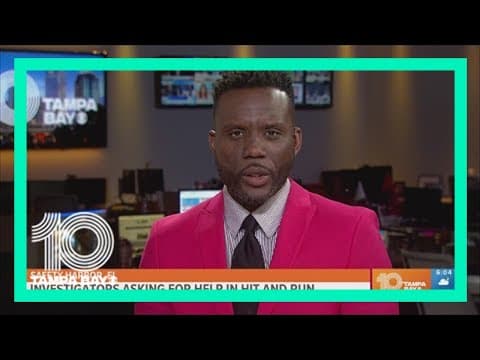 Bicyclist seriously hurt in Safety Harbor hit-and-run; deputies searching for driver responsible