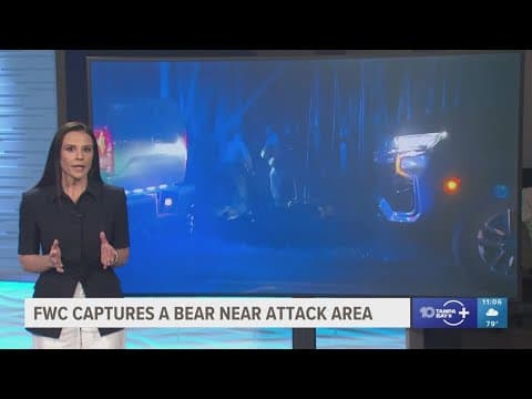 FWC captures bear near area where man was attacked and killed