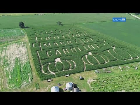 Grove City farmer turns cornfield into unique stage for wedding proposal