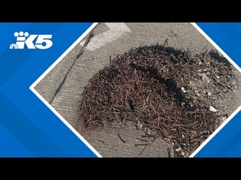 Man arrested for dumping nails on Hwy 16 in Tacoma