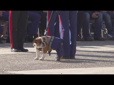 MCRD appoints new mascot, to boost morale and help recruitment