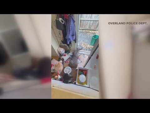 Salon owner loses thousands of dollars after deer breaks in