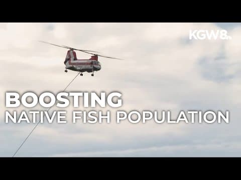 Oregon City watershed finds unique way to boost endangered fish populations