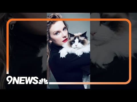 Taylor Swift increases voter registration