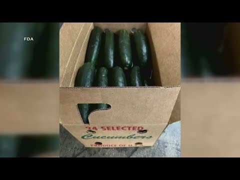 Dozens sickened in expanding salmonella outbreak linked to recalled cucumbers