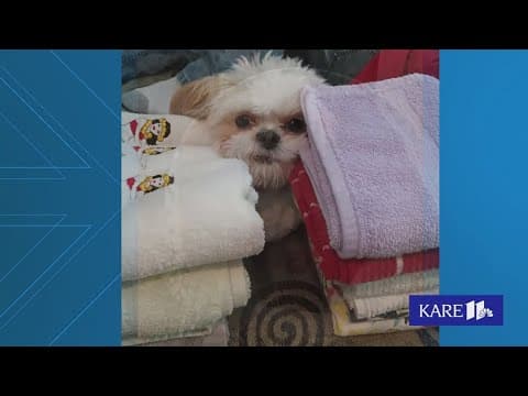 Your Good News: Atlanta's Thursday edition