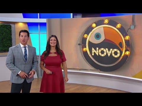 Novo Brewing | Shop Local