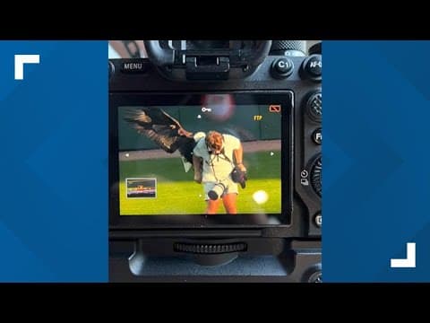 YouTube thumbnail for video XZMs3Gse2-Q