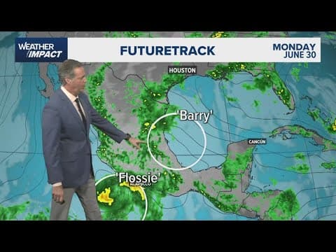 Tropical Update: Tropical Storm Barry weakens to a depression as it makes landfall in Mexico