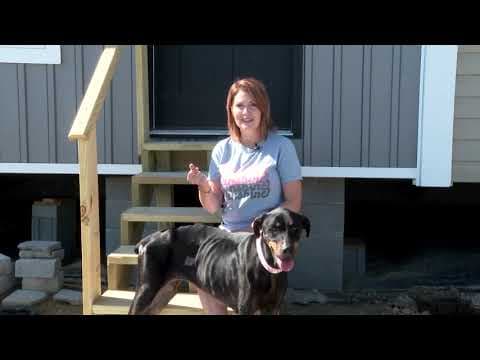 Kentucky family reunited with dog 4 months after EF-4 tornado separated them