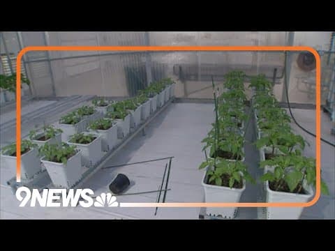 Denver Public Schools grows produce for students