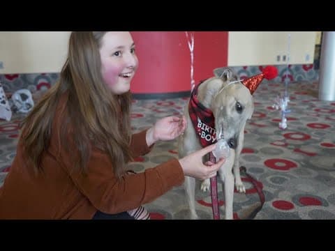 UIndy celebrates Grady the Greyhound's 8th birthday