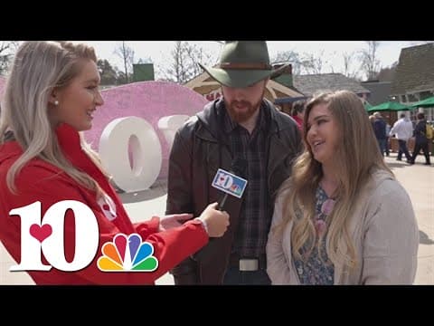 Couple gets engaged during Dollywood opening