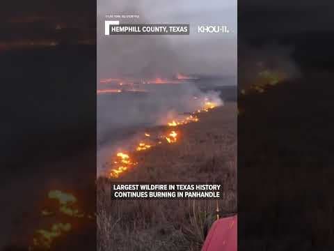 Largest wildfire in Texas history crosses border into Oklahoma #Shorts