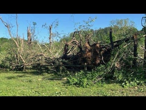 1 horse dead, several others injured at Horsemen's Campground after severe weather