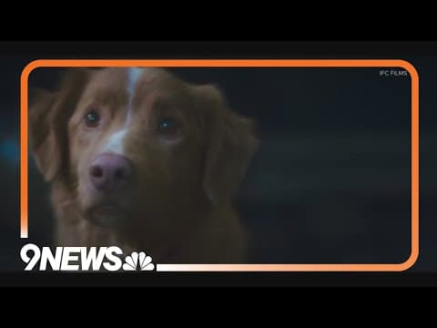 A look inside a strange box office weekend