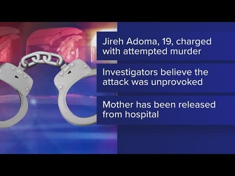 Son stabs mother in unprovoked attack, STPSO says