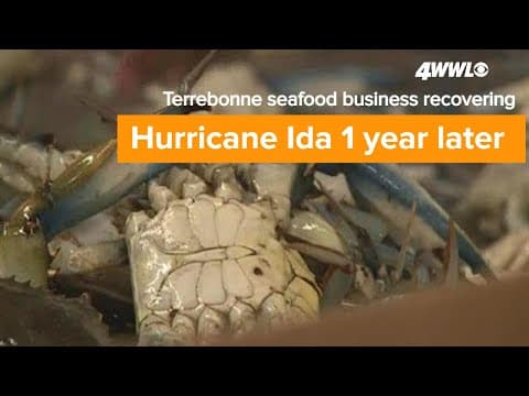 Hurricane Ida 1 year later | Terrebonne Parish seafood business slowly recovering
