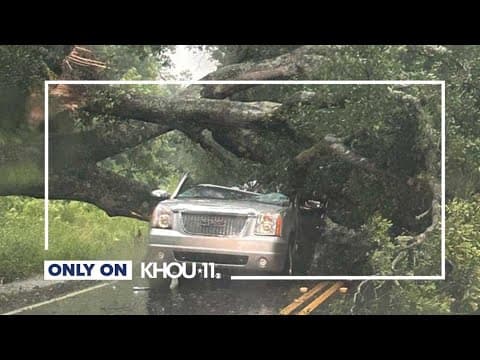 A woman pulled a man to safety after his SUV was crushed by a tree. Now, he's doing something for he