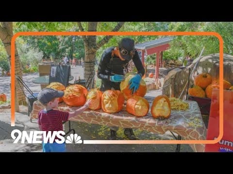 'Boo at the Zoo' returns to Denver Zoo