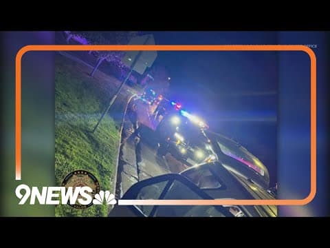 17 vehicles recovered in operation targeting rash of auto thefts