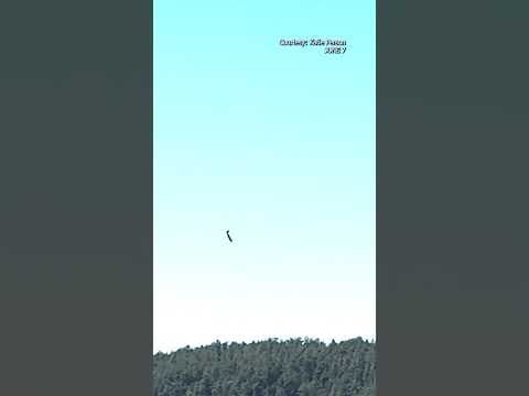 Plane crashes near western Washington's Orcas Island Friday June 7 #king5 #news