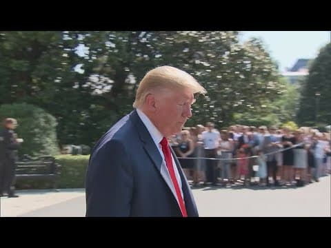 White House says Trump is considering suspending habeas corpus