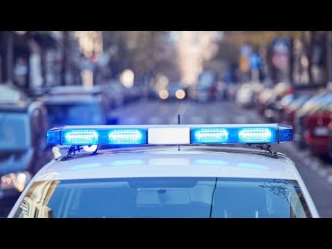 KCSO: Warrant for aggravated animal cruelty issued after man throws dog off bridge