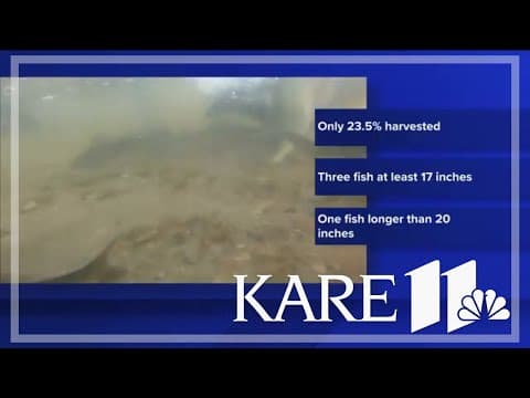 Mille Lacs walleye limit increases to 3 on Aug. 23