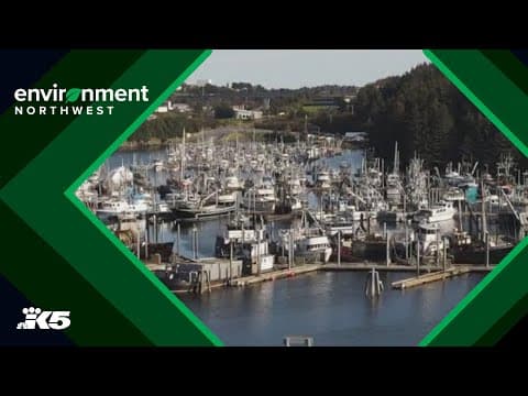 Here's what to know about the reopening of the Bering Sea snow crabbing season