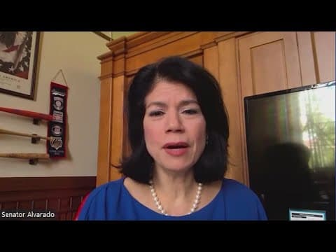 Sen. Carol Alvarado's filibuster on congressional maps bill blocked by Senate GOP