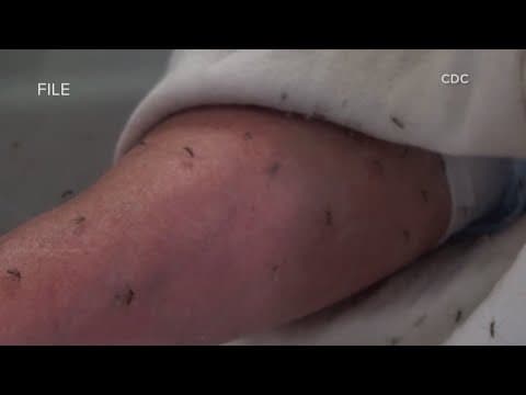 The Breakdown: How common is West Nile Virus in Louisiana?