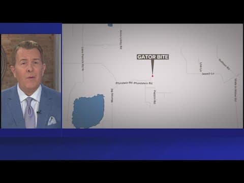 911 call made after woman bit by alligator released