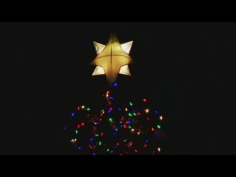 Capitol Christmas tree lights up in DC