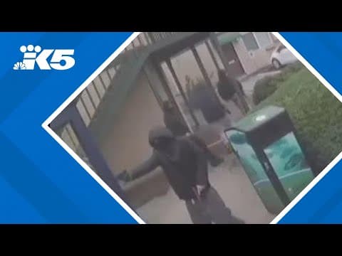 Recent violence prompts call for change in Auburn