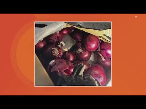 184 pounds of cocaine found inside boxes of onions during Hancock County traffic stop