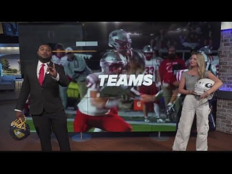 10SportsBlitz: Helmet Stickers