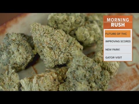 Texas Gov. Greg Abbott undecided on THC ban