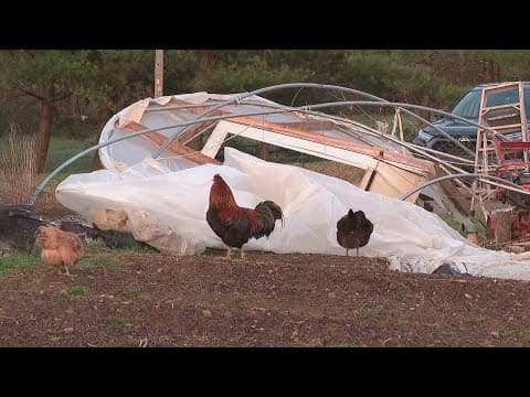 Morckel Meadows farm in Licking County devastated by EF1 tornado