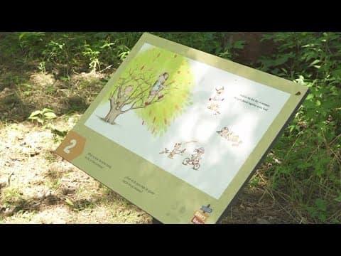 Knox County Public Library pushes summer reading