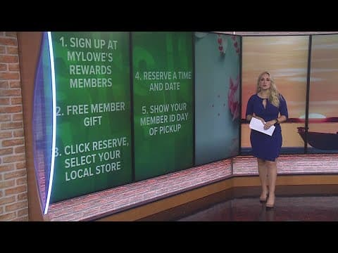 Money Moment: Buy now Pay later, Plants for Mom