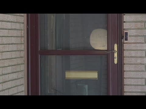 Mail carrier accused of pepper spraying woman's dog through mail slot