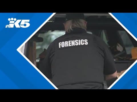 Pierce County teen fatally stabs mother's partner after altercation, prosecutors say