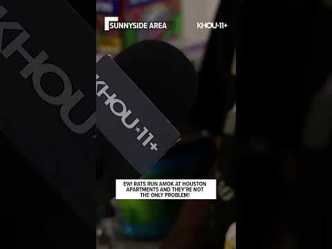 Apartment complex overrun by rats #shorts