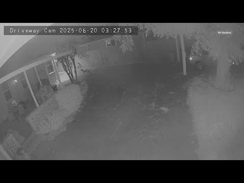 Coyote spotted near White Rock Lake